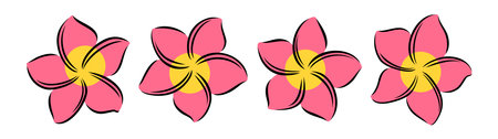 Frangipani or plumeria exotic summer flower. Engraved frangipani isolated in white background. Outline vector illustrationのイラスト素材