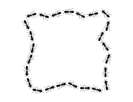 Black ants square border. Ants forming messy rectangular shape isolated in white background. Vector illustrationのイラスト素材