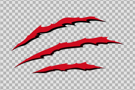 Claw scratches of wild animal. Cat scratches marks with blood isolated in transparent background. Monochrome vector illustrationのイラスト素材