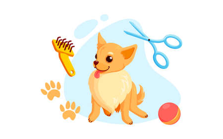 Dog grooming with haircut scissors and combs.Playful chihuahua puppy in grooming service. Vector illustration in cute cartoon styleのイラスト素材