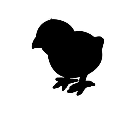 Hen or chicken silhouette isolated in white background. Free grazing hen bird in the runch. Hand drawn vector illustrationのイラスト素材
