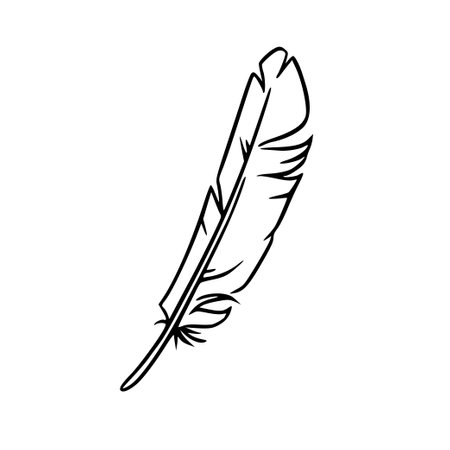 Feather sketch. Feather for decoration or writing. Vector illustration isolated on white backgroundのイラスト素材