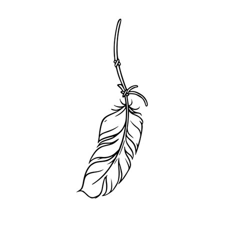 Dreamcatcher feather sketch. Native american decor with feathers and dream catchers. Vector illustration isolated on white backgroundのイラスト素材