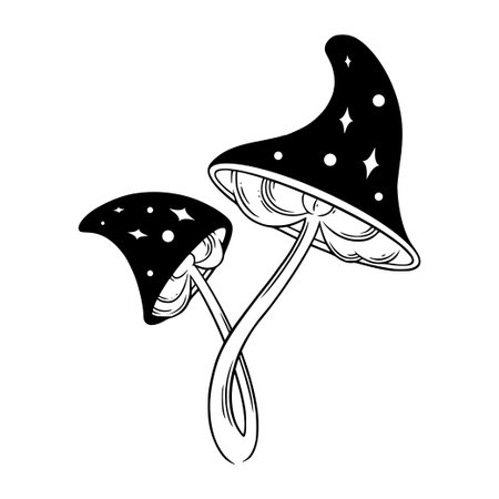 Poison mushrooms. Psychedelic magic mushrooms for wicca rituals. Vector illustration isolated in white backgroundのイラスト素材