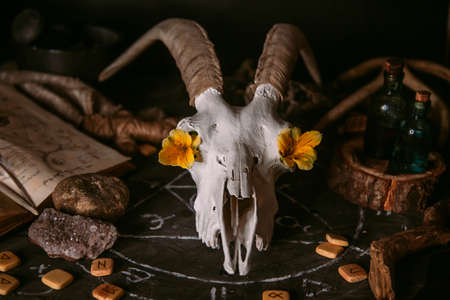 White goat scull with horns, flowers, open old book, candles on witch table. Occult, esoteric, divination and wicca concept. Halloween, Day of the dead conceptの写真素材