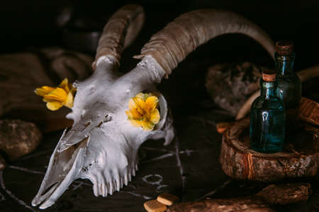 White goat scull with horns, flowers, open old book, candles on witch table. Occult, esoteric, divination and wicca concept. Halloween, Day of the dead conceptの写真素材