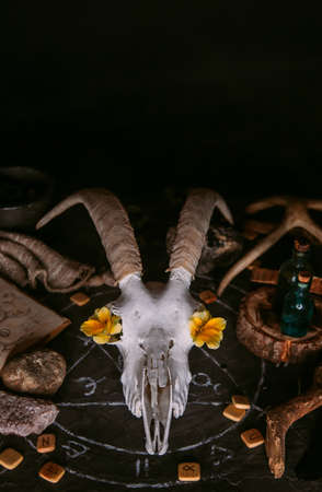 White goat scull with horns, flowers, open old book, candles on witch table. Occult, esoteric, divination and wicca concept. Halloween, Day of the dead conceptの写真素材