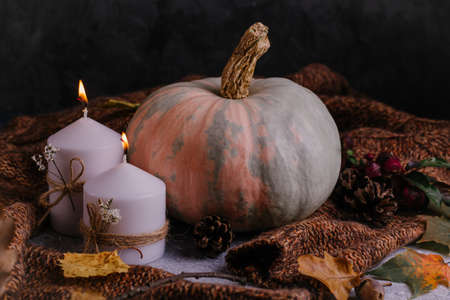 Autumn composition. Pumpkins, candles and knitter sweater.の写真素材