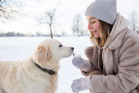 Young beautiful woman and her golden retriever dog having fun in winter.
