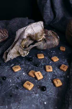 Old dog skull, wooden runes and stones on the witch table.の写真素材