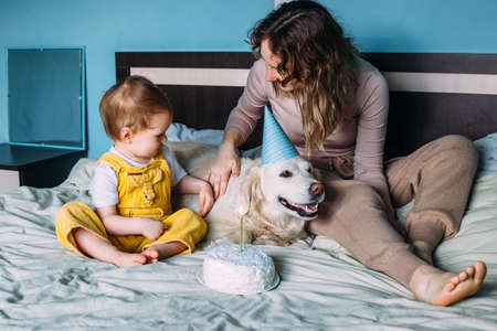 Labrador golden retriever with little child celebrate birthday with cakeの写真素材