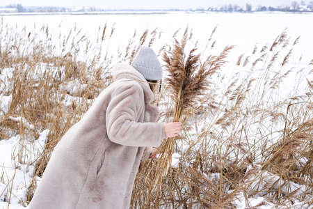 A young woman in a beige dress of neutral colors collects pampas grass.の写真素材