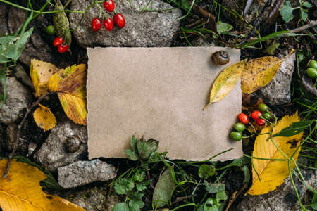 Craft paper mockup template on the background of forest magic autumn natureの写真素材
