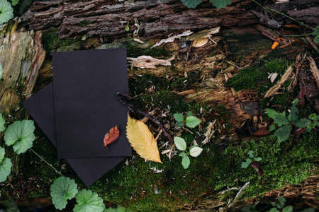 Black craft paper mockup template on the background of forest magic nature