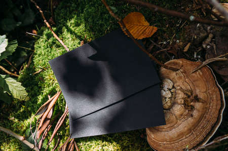 Black craft paper mockup template on the background of forest magic natureの写真素材