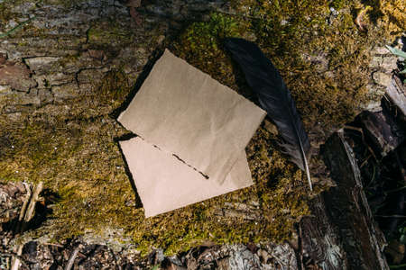 Craft paper mockup template on the background of forest magic natureの写真素材