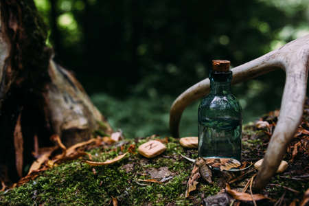 Glass bottles are filled with magic ingredients, potion. Mysterious forest.の写真素材