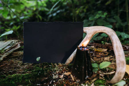Black craft paper mockup, black candle on background of forest magic natureの写真素材