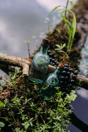 Glass bottles are filled with magic ingredients, elixir. Mysterious forest.の写真素材
