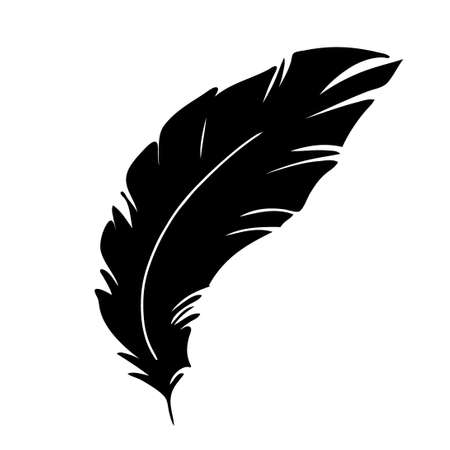 Feather of birds. Black feather silhouette for logo vector setのイラスト素材