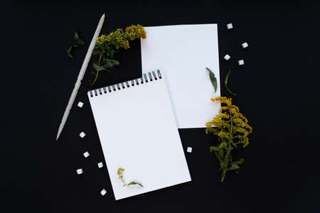 White notebook mockup template on black background with magical mysterious mood.の写真素材