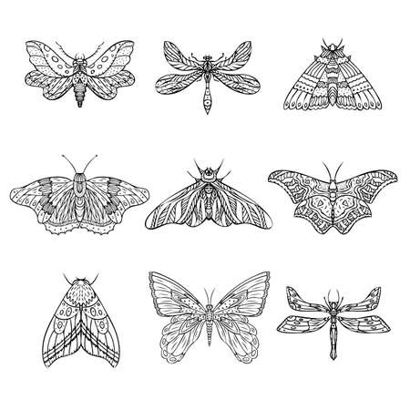 Set of vector night butterflies, moths. Hand drawn illustration.のイラスト素材