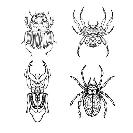 Set of beetles and spiders line vector illustrations. Hand drawing styleのイラスト素材