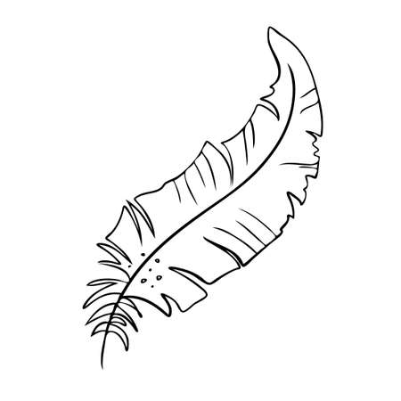 Feather of birds. Black and white feather silhouette for logo vector setのイラスト素材