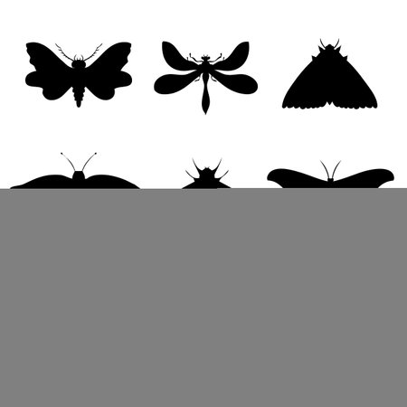 Set of vector night butterflies, moths. Hand drawn illustration.のイラスト素材