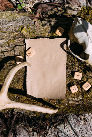 Craft paper mockup template on the background of forest magic natureの写真素材