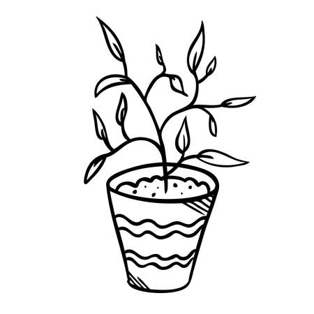 Vector illustration of a flower in a pot and sketch hand drawnのイラスト素材