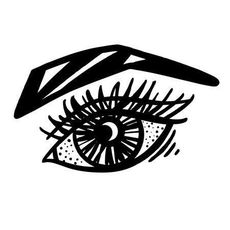 Female eye with eyelashes and eyebrows, black and white vector sketchのイラスト素材