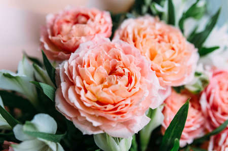 Luxurious bouquet of fresh pastel pale pink rosesの写真素材