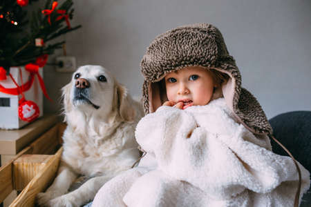 Cute child and his labrador retriever at home on the bed near the Christmas treeの写真素材