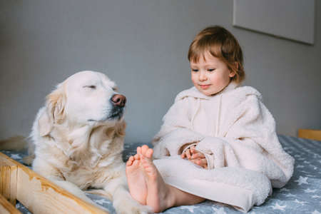 Cute baby and his labrador retriever at home on the bed.の写真素材