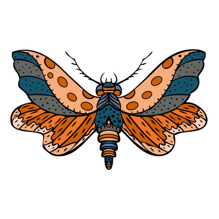 Night butterfly, moth. Hand drawn vector illustrationのイラスト素材