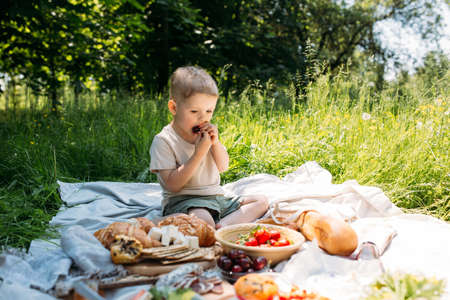 Boy child preschooler on a picnic. Smiles, eating cherries and enjoying summer.の写真素材