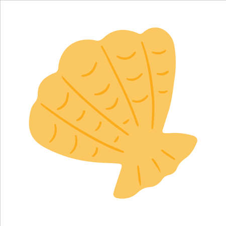 Seashell hand drawn doodle style. Vector illustrationのイラスト素材