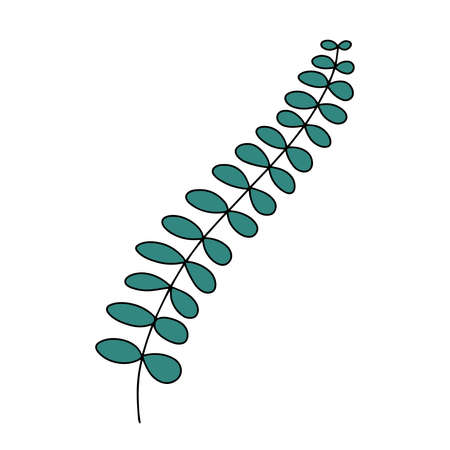 Fresh natural green leaf colored with stroke. Vector illustrationのイラスト素材