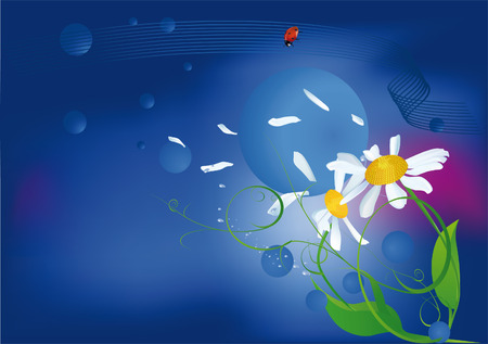 chamomiles and a windのイラスト素材