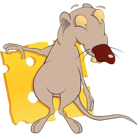 Rat and cheese. Cartoonのイラスト素材