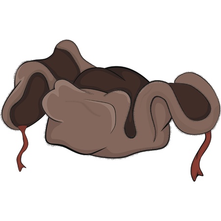 Winter cap. A cap with ear-flaps. Cartoon のイラスト素材