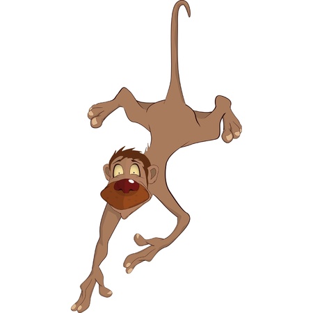 Monkey. Cartoonのイラスト素材
