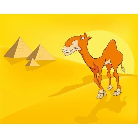 Camel in desert. Pyramids. Cartoon のイラスト素材