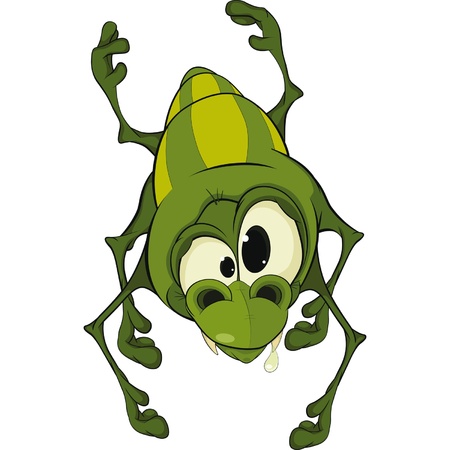 Small spiderのイラスト素材