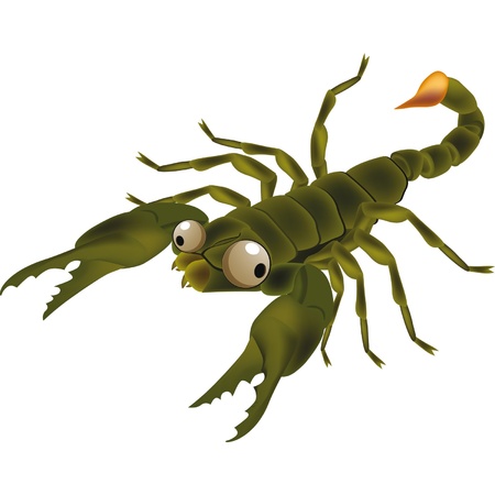 Insect scorpion.Cartoon のイラスト素材