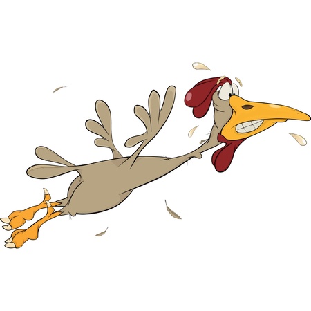 Cockerelのイラスト素材