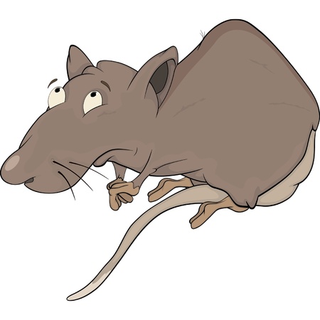 House rat. Cartoonのイラスト素材