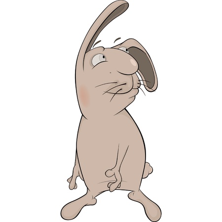 Rabbit Cartoonのイラスト素材