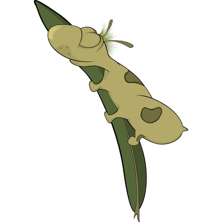 Sleeping wormのイラスト素材